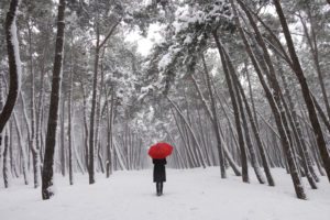 individual in winter scene, snow