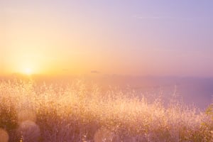 peaceful prairie vibrant colors